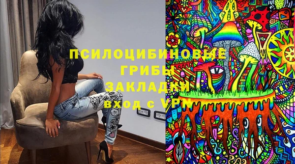 амф Абаза